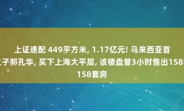上证速配 449平方米, 1.17亿元! 马来西亚首富之子郭孔华, 买下上海大平层, 该楼盘曾3小时售出158套房